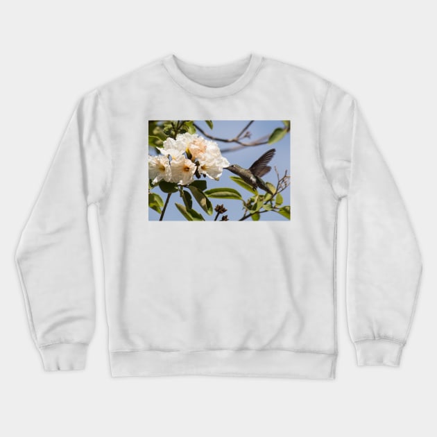 Pollinating Crewneck Sweatshirt by Jacquelie